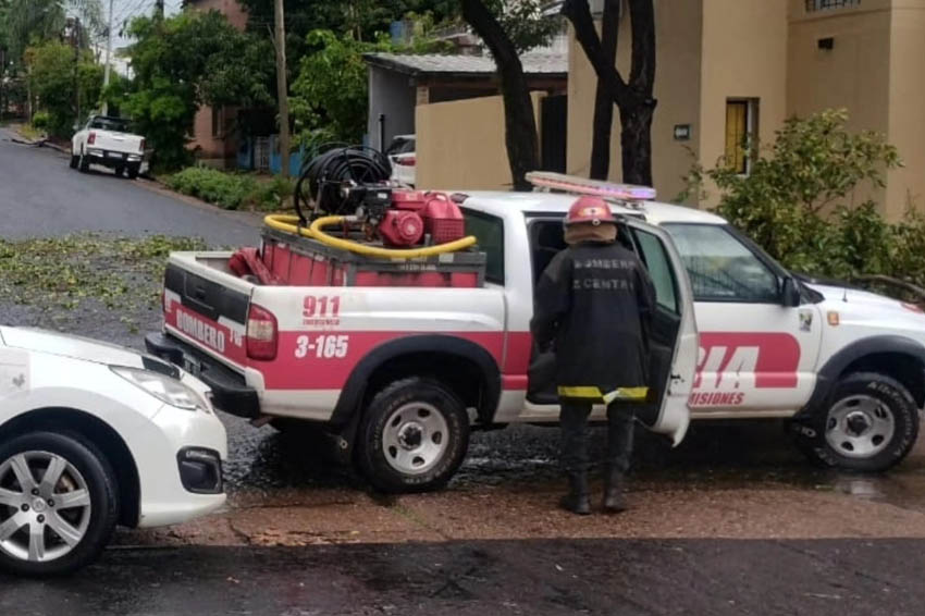 Tormenta provocó caída de árboles, cables sueltos y daños en varias localidades
