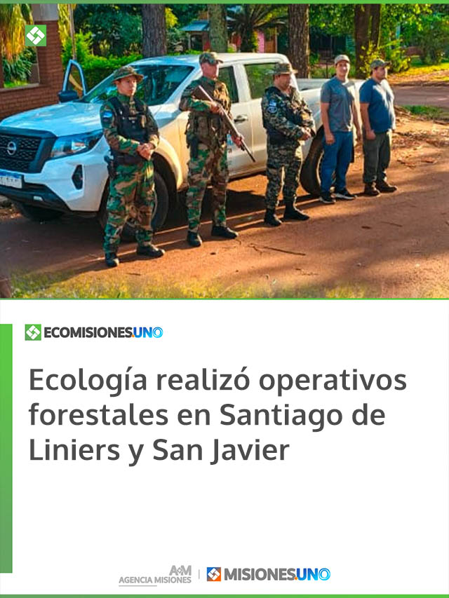 Ecología realizó operativos forestales en Santiago de Liniers y San Javier