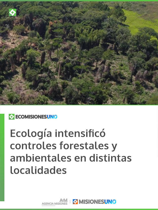 Ecología intensificó controles forestales y ambientales en distintas localidades