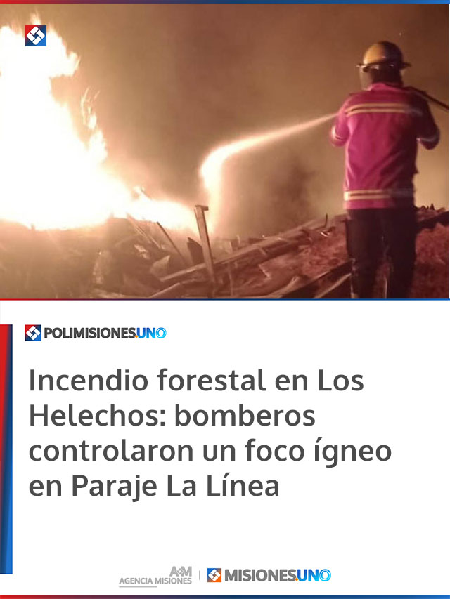 Incendio forestal en Los Helechos: bomberos controlaron un foco ígneo en Paraje La Línea