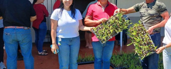 CAMPO RAMÓN: Entrega de plantines para fortalecer la producción forrajera regional