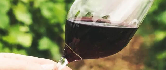 ARISTÓBULO: Elaboran vino artesanal y orgánico desde hace más de 20 años