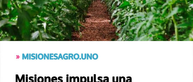Misiones impulsa una estrategia integral para fortalecer la horticultura y diversificar su matriz productiva