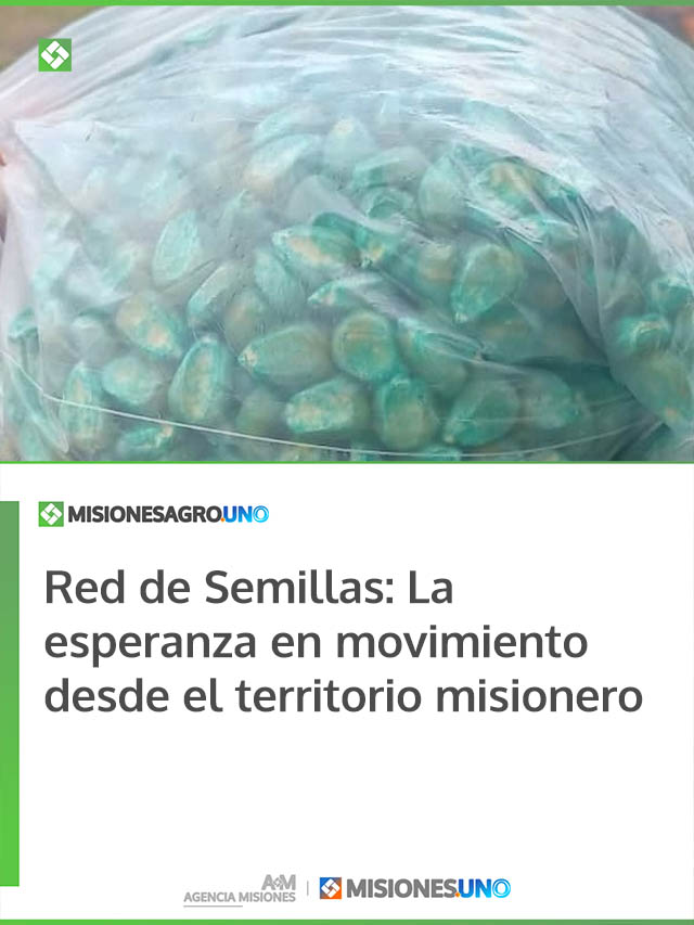 Red de Semillas: La esperanza en movimiento desde el territorio misionero